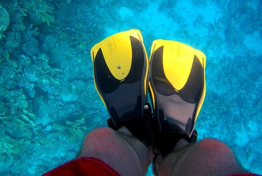 Aparat do zdjęć podwodnych zdjęcia podwodne